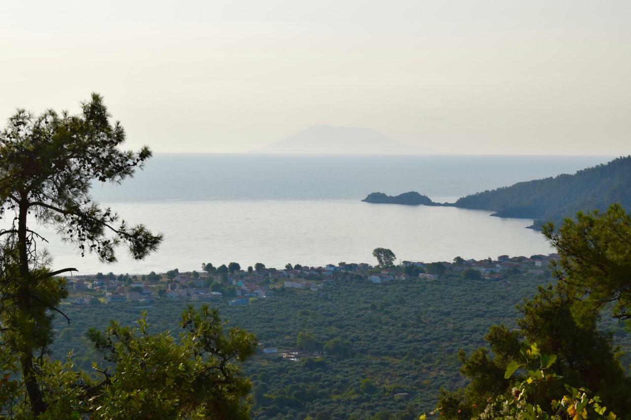 Barocco Wave Hotel Σκάλα Ποταμιάς Εξωτερικό φωτογραφία